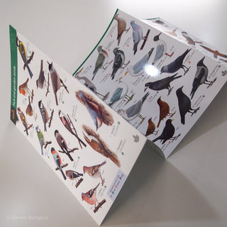 Park and Garden Birds FSC Folding Field Guide