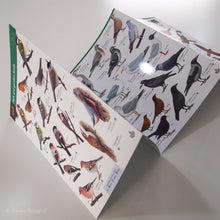 Load image into Gallery viewer, Park and Garden Birds FSC Folding Field Guide