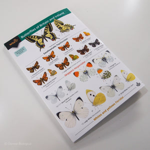 Butterfly FSC Folding Field Guide