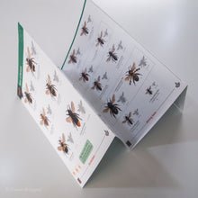 Load image into Gallery viewer, Bees FSC Folding Field Guide
