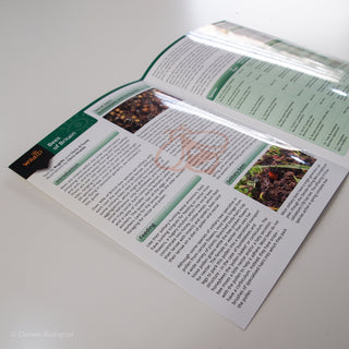 Bees FSC Folding Field Guide Inside