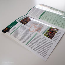 Load image into Gallery viewer, Bees FSC Folding Field Guide Inside