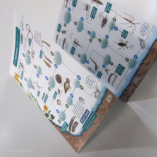 Freshwater FSC Folding Field Guide
