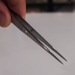 Dissection Forceps