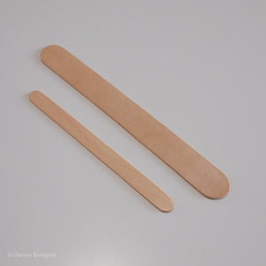 Large and Small Lolly Sticks Comparison