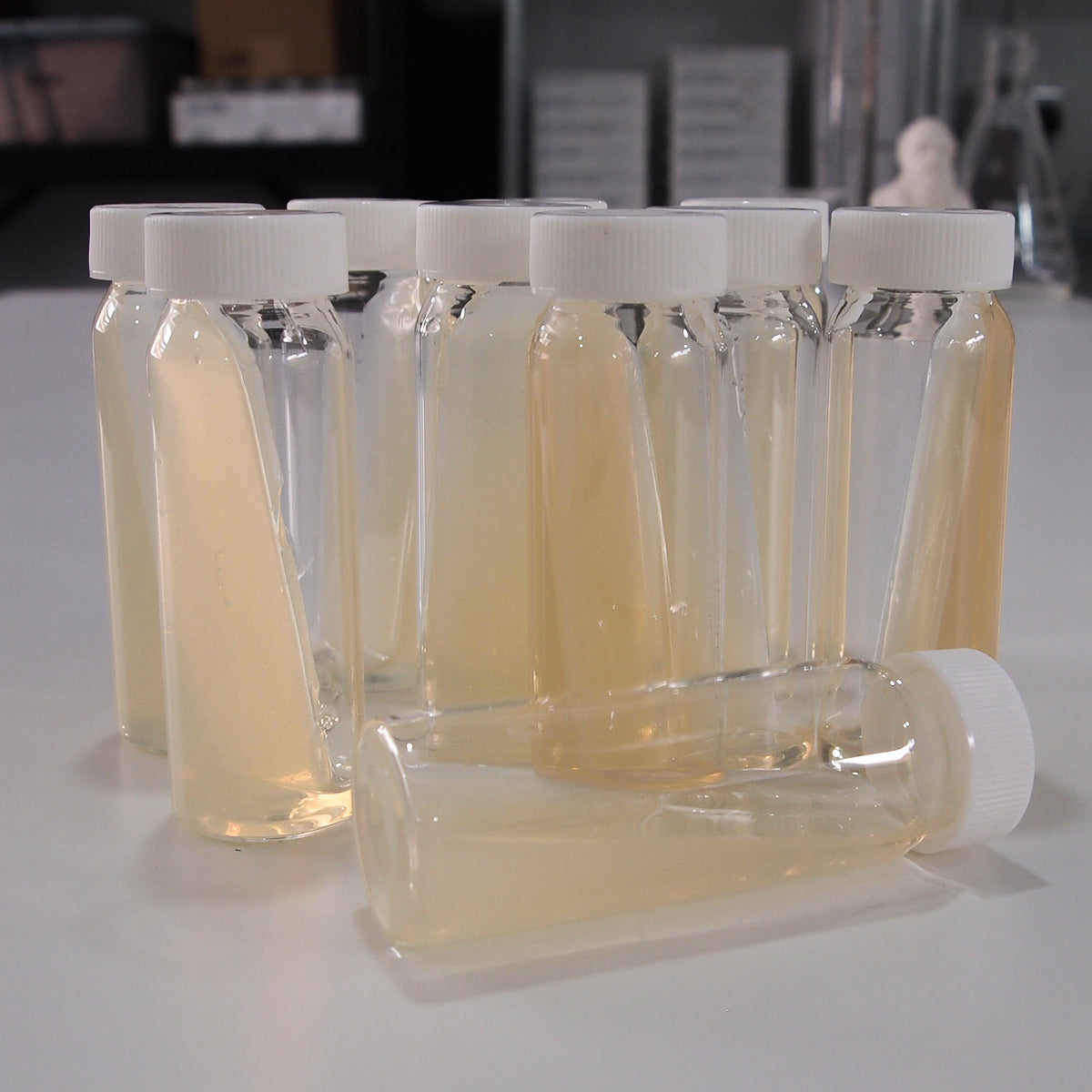 Nutrient Agar Slopes | Biology Supplies - Darwin Biological