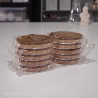 Malt Extract Agar in Petri Dishes
