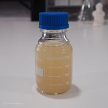 Load image into Gallery viewer, 250ml Glass Laboratory Bottle with Sterile Culture Media