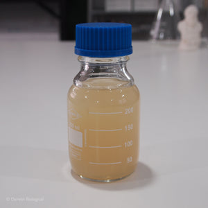 250ml Glass Laboratory Bottle with Sterile Culture Media
