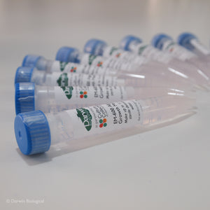 Algae Growth Medium