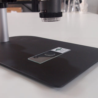 Unstained Human Blood Microscope Slide