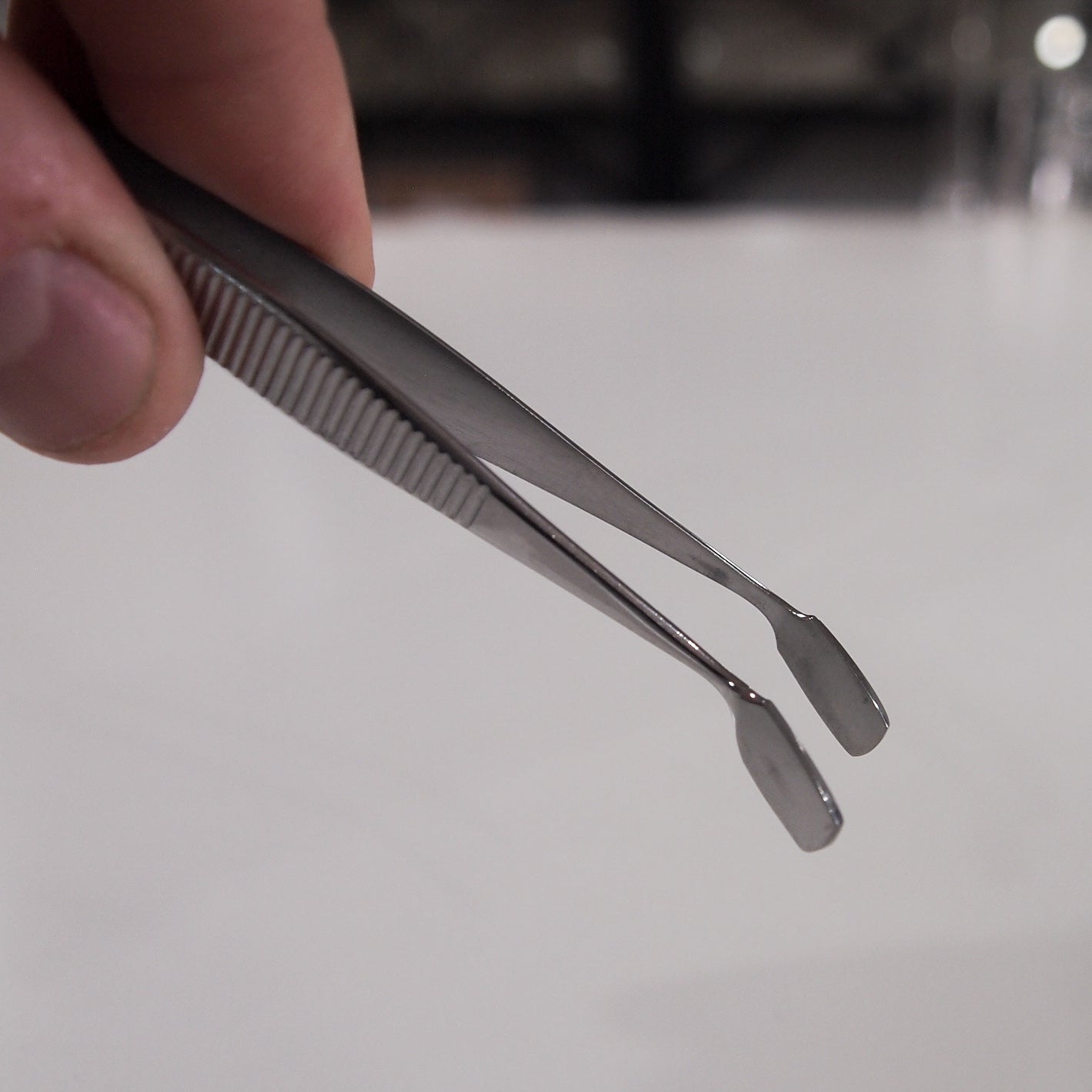 Cover Glass Forceps Biology Supplies Darwin Biological