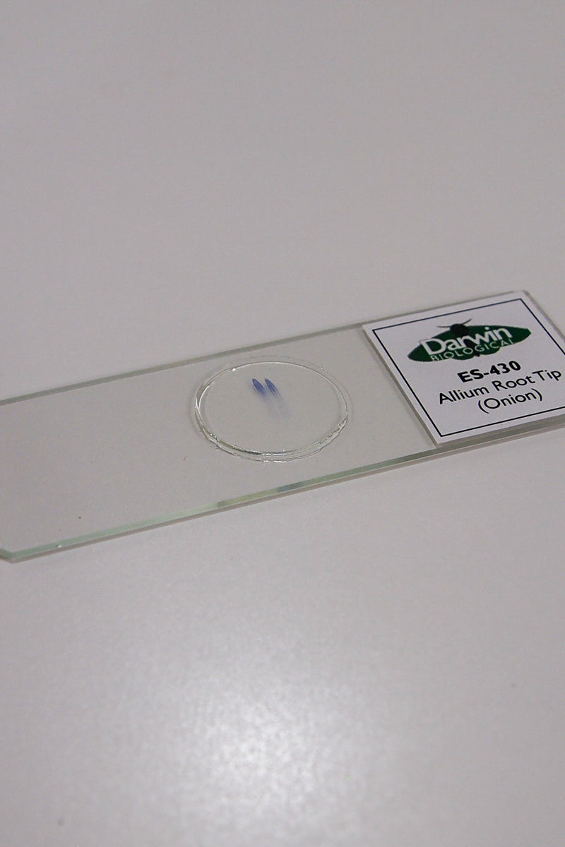 Prepared Slides | Darwin Biological