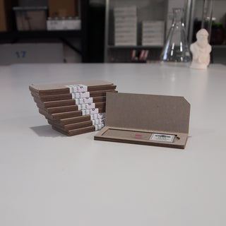 Allium Root Tip (Onion) Slide