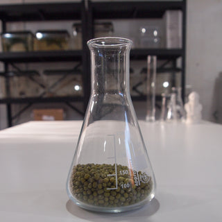 Mung Beans