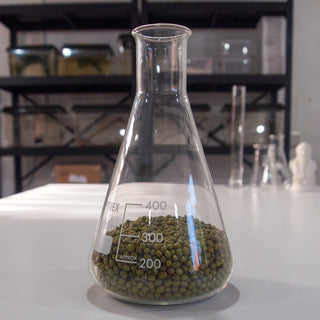 Mung Beans