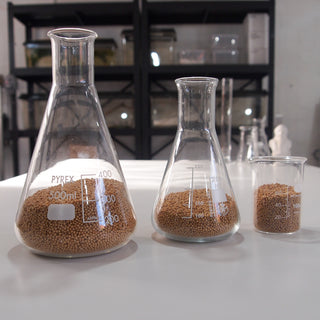 Mustard Seeds