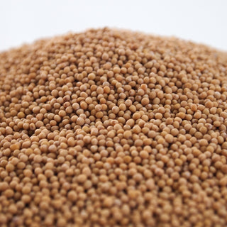 Mustard Seeds