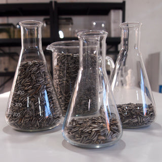 Sunflower Seeds
