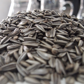 Sunflower Seeds