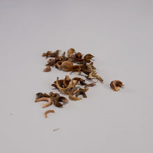 Load image into Gallery viewer, Calendula Pot Marigold Seeds