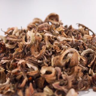Calendula Pot Marigold Seeds Close Up