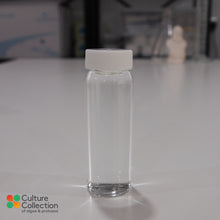Load image into Gallery viewer, Amoeba borokensis in glass bottle