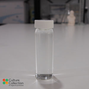 Amoeba borokensis in glass bottle