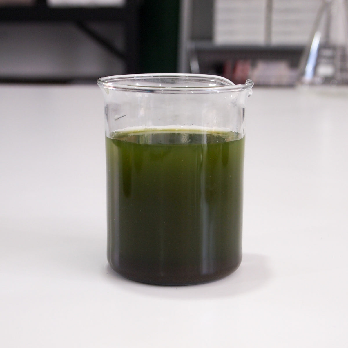 Pond Water | Biology Supplies - Darwin Biological