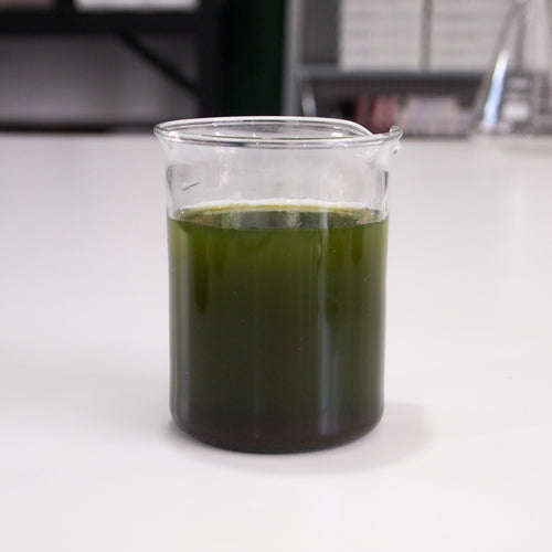 Sample of British wildlife pond water