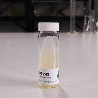 Pseudomonas Fluorescens