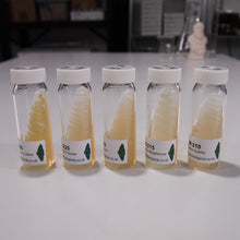 Load image into Gallery viewer, Bacteria Cultures
