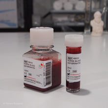 Load image into Gallery viewer, Defibrinated Horse Blood 25ml and 100ml bottles