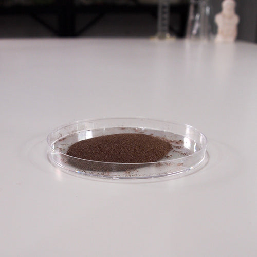 Brine Shrimp Eggs
