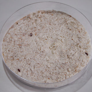 Flour Beetles Tribolium Confusum