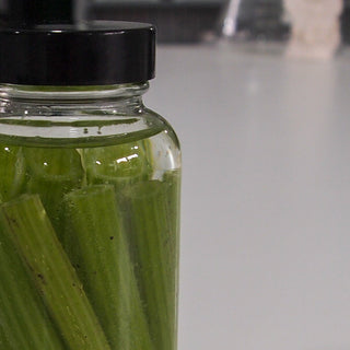 Preserved Cucurbita Stem