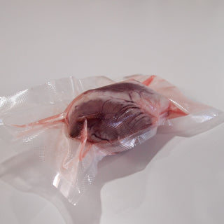 Frozen Sheep Heart