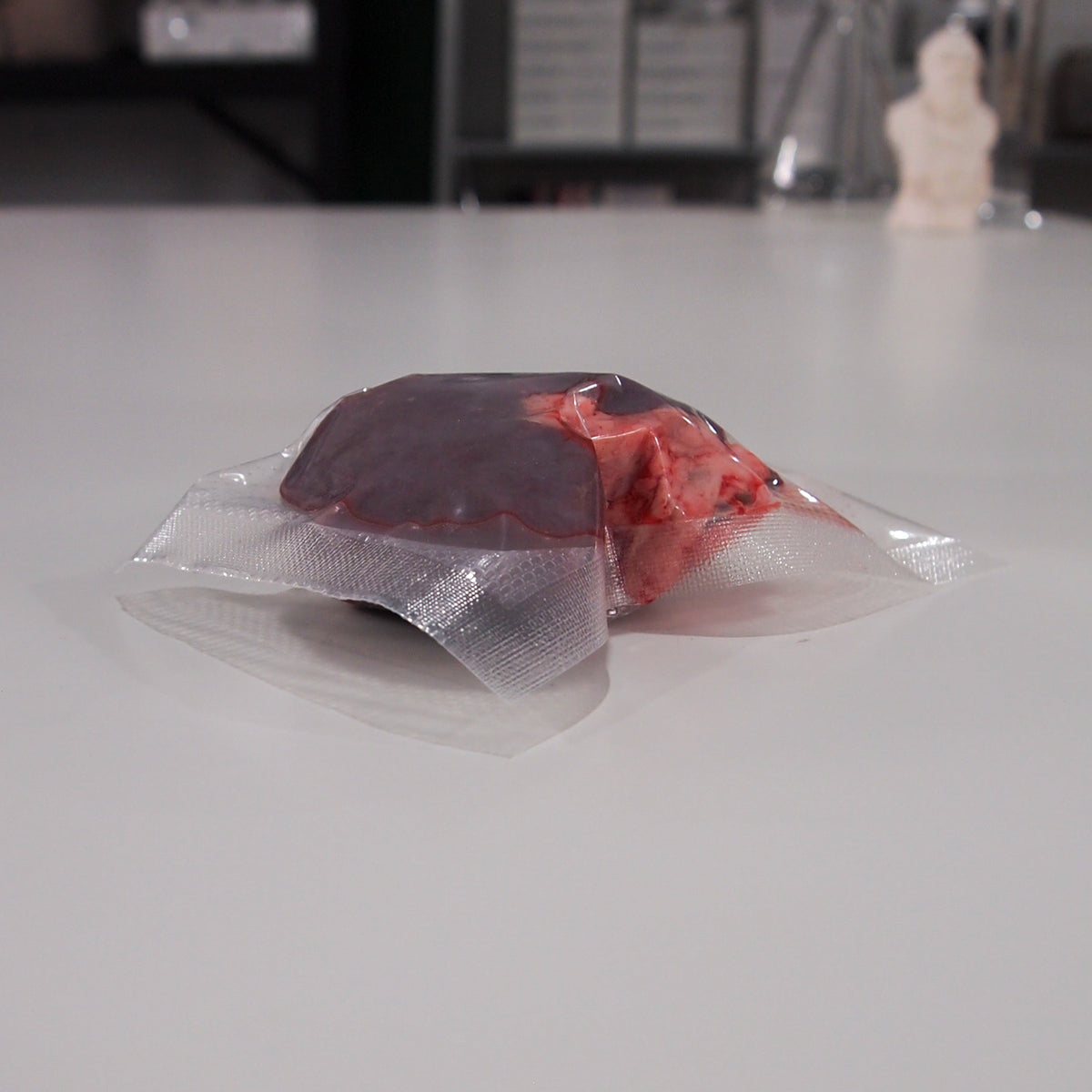 Frozen Sheep Kidney | Biology Supplies - Darwin Biological
