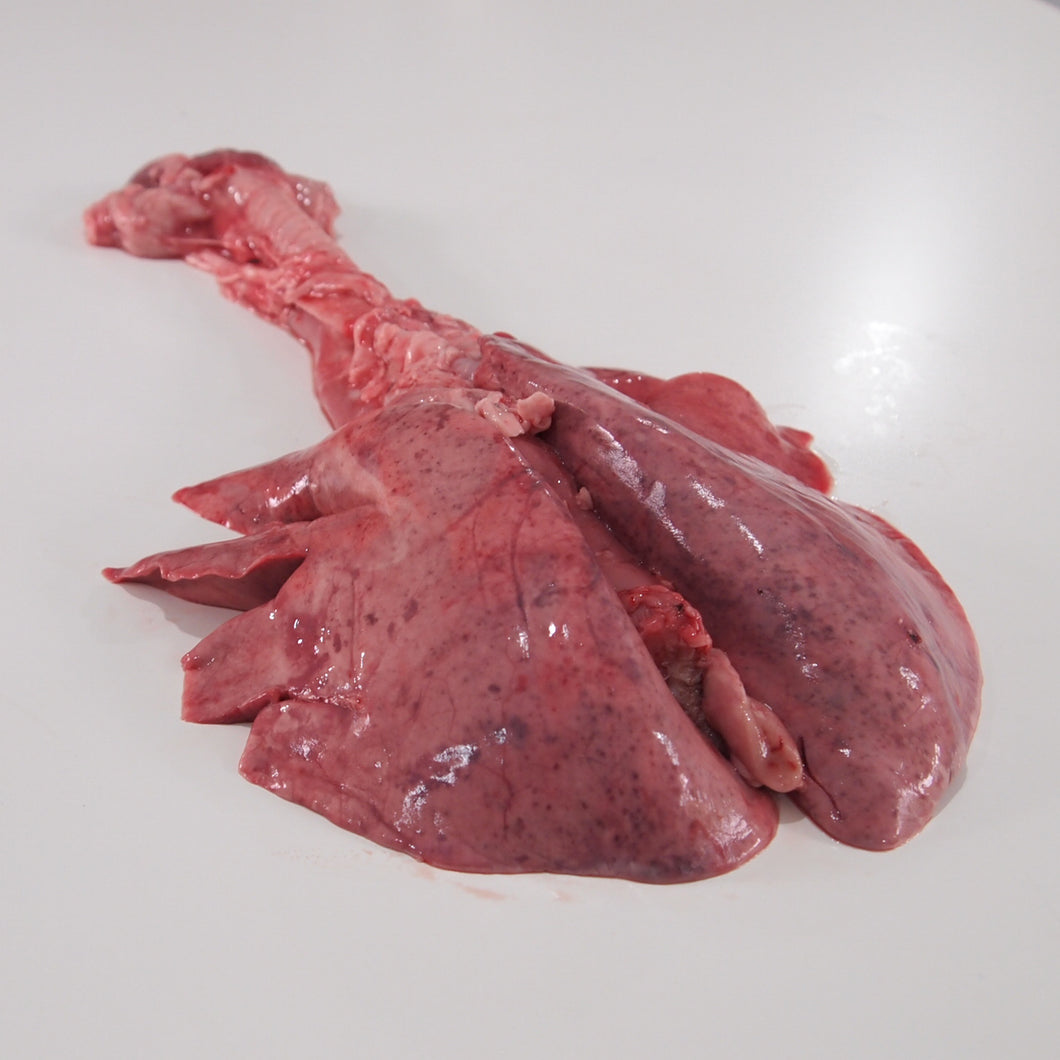 Sheep Lungs and Trachea
