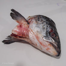 Load image into Gallery viewer, Frozen Salmon Fish Head