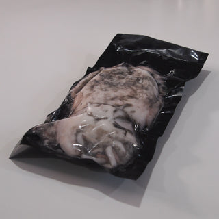 Frozen Cuttlefish