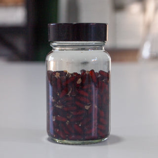 Preserved Blowfly Pupae