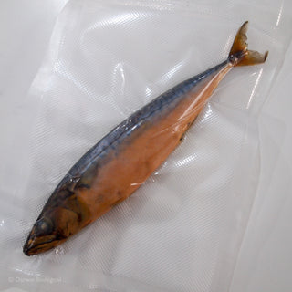 Preserved Bony Fish