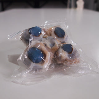 Preserved Sheep Eyes