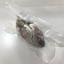 Load image into Gallery viewer, Preserved Sheep Heart