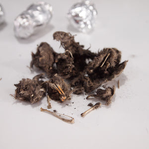 Dissected owl pellet showing bones and skull