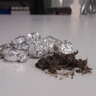 Owl Pellets in foil and dissected